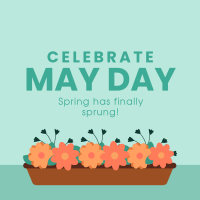 Celebrate May Day Instagram post | BrandCrowd Instagram post Maker