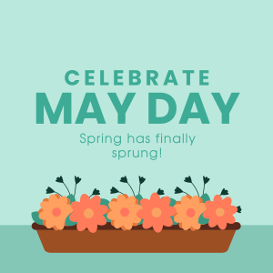 Celebrate May Day Instagram post Image Preview