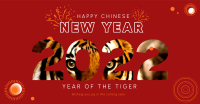 Tiger Eyes Facebook ad Image Preview
