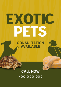 Exotic Vet Consultation Flyer Image Preview
