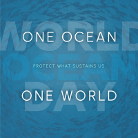 Simple Minimalist Ocean Day Linkedin Post Image Preview