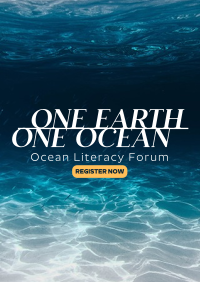 One Ocean Flyer Image Preview