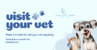 Consult Your Vet Facebook Ad Design