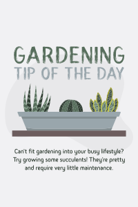 Tip of the Day Pinterest Pin Design