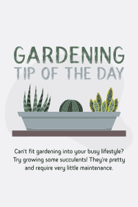 Tip of the Day Pinterest Pin Image Preview