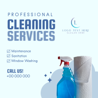 Professional Cleaning Services Instagram Post Preview