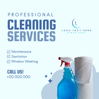 Professional Cleaning Services Instagram post Image Preview