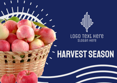 Harvest Apples Postcard