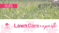Lawn Care Experts Video Image Preview