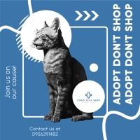 Pet Adoption Advocacy Instagram Post Design