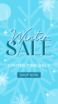 Winter Shopping  Sale Video Image Preview