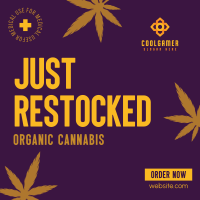 Cannabis on Stock Instagram Post Design