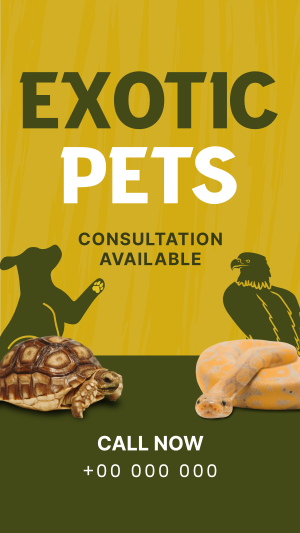 Exotic Vet Consultation Facebook story Image Preview