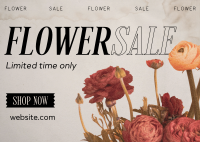 Flower Boutique  Sale Postcard Image Preview