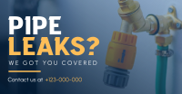 Leaky Pipes Facebook ad Image Preview