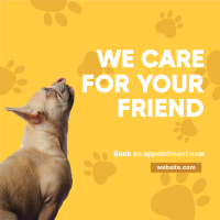 We Care Veterinary Instagram post Image Preview