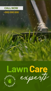 Lawn Care Experts YouTube Short Preview