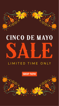 Mexican Party Sale TikTok video Image Preview