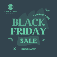 Black Friday Promo Instagram post Image Preview