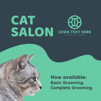 Cat Salon Packages Instagram Post Preview