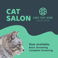 Cat Salon Packages Instagram post Image Preview