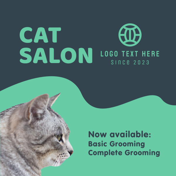 Cat Salon Packages Instagram Post Design Image Preview