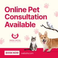 Online Vet Consultation Instagram Post Image Preview