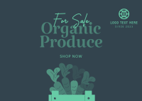 Organic Produce For Sale Postcard Design
