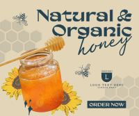 Delicious Organic Pure Honey Facebook Post Design