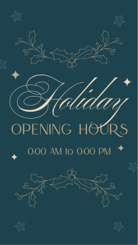 Elegant Holiday Opening Instagram story Image Preview