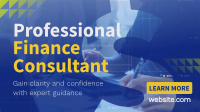 Professional Finance Consultant Video Image Preview