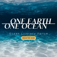 One Ocean Instagram post Image Preview