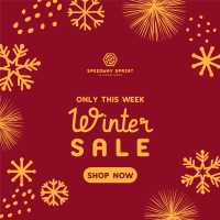 Decorative Winter Sale Instagram post Image Preview