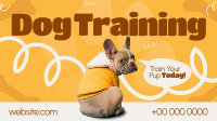 Quirky Dog Training Animation Preview