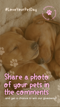 Love Your Pet Day Giveaway Instagram Reel Design