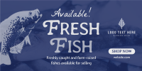 Fresh Fishes Available Twitter post Image Preview