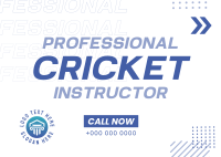 Let's Play Cricket Postcard Design