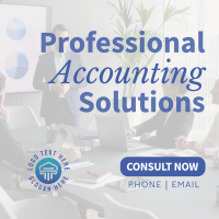 Professional Accounting Solutions Linkedin Post Image Preview