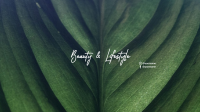  Beauty and Lifestyle YouTube Banner Design