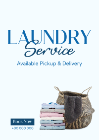 Laundry Delivery Services Poster Image Preview