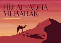 Desert Camel Postcard Image Preview