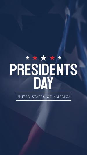 Presidents Day Instagram story Image Preview