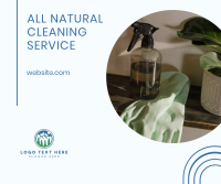 Natural Cleaning Services Facebook post Image Preview
