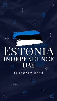 Simple Estonia Independence Day Instagram Reel Image Preview