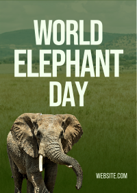 World Elephant Day Letterhead 