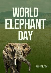 World Elephant Day Poster Image Preview