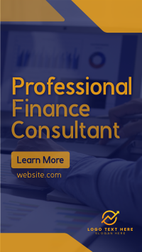 Professional Finance Consultant