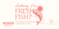Fresh Fish Farm Twitter post Image Preview