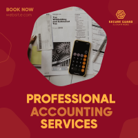 Professional Accounting Instagram post Image Preview