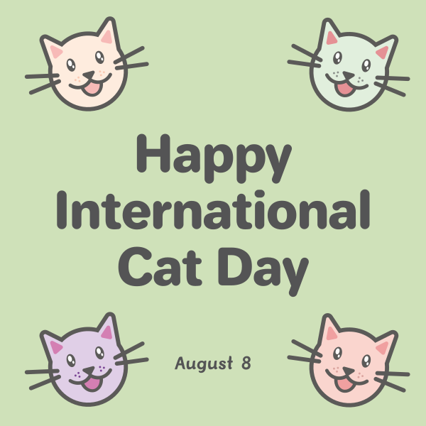Colorful International Cat Day Instagram Post Design Image Preview